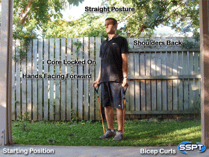 Resistance Band Bicep Curl Demo
